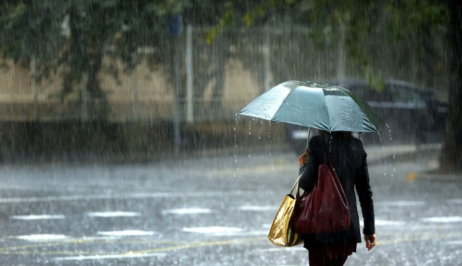 Yeni haftada sağanak geliyor: Meteoroloji Genel Müdürlüğü açıkladı